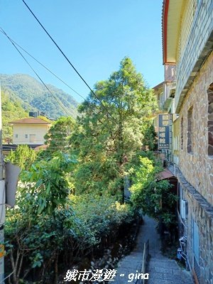 【台中和平】山林靜謐時光。 捎來步道2989193