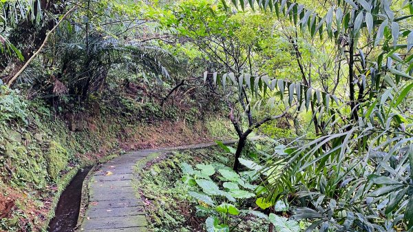 新北石門|老梅溪青山瀑布步道|台版奧入瀨溪|夏日消暑秘境|清涼親子景點1975452