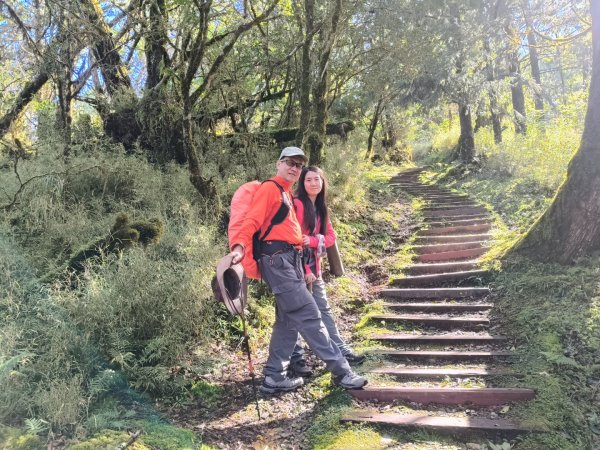 翠峰湖望洋山步道2940132