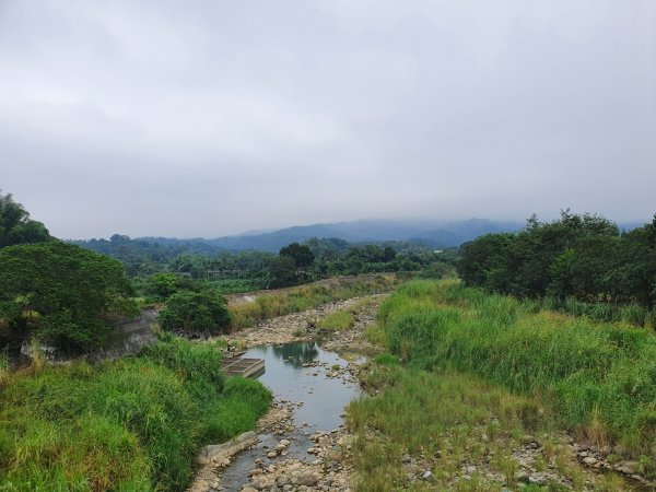 竹崎親水公園2312628