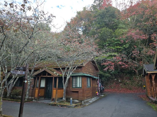 大雪山森林遊樂區森林浴步道2966005