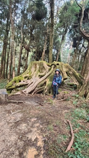 神阿縱走~台灣難抵極~大塔山2971474