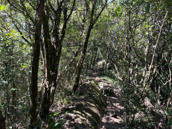 [微笑山線_第九段] 2025_0914 二格山系_皇帝殿東峰2889527