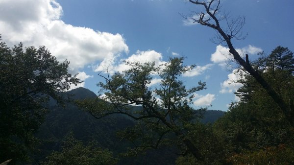 大霸群峰 107.10.19~21455236