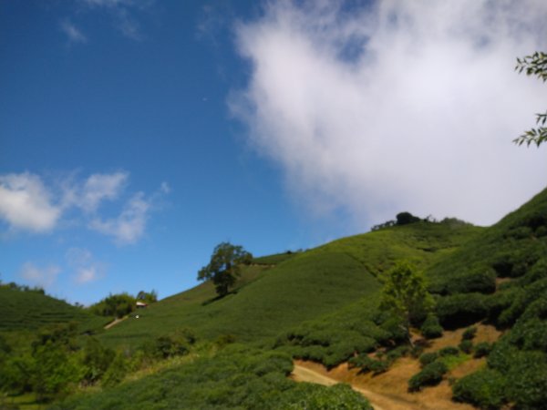 小百岳：嶺子腳山(太平山)1184381