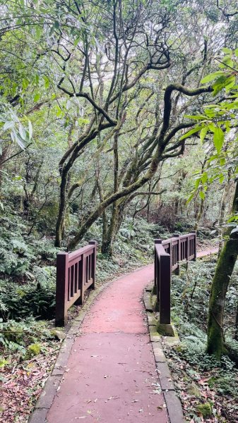 二子坪步道2863644