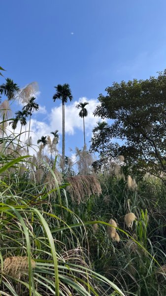 宜蘭_望龍三山&北后寺2984006