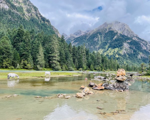 川藏33天深度之旅💙#稻城亞丁-來古冰川2902346