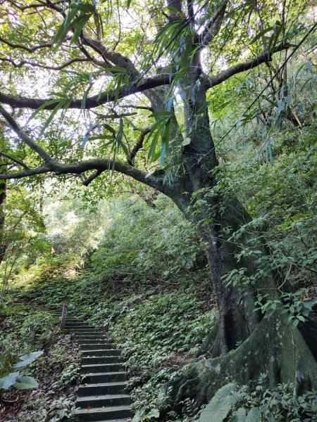 2023.12.14 紅淡山2826460