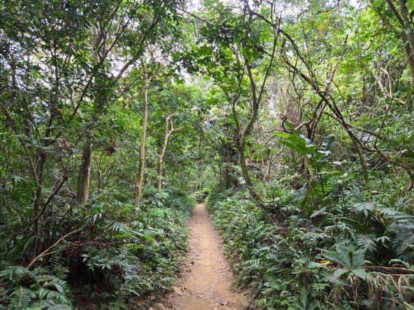 桃園石門山（小百岳）2910057