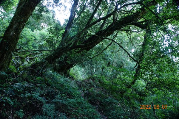 宜蘭 大同 佐得寒山1798069