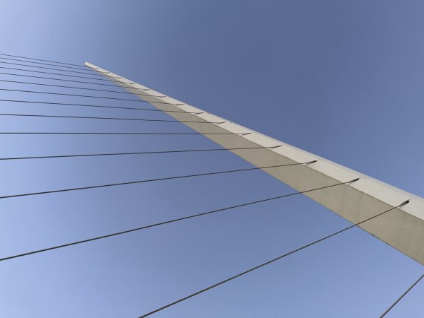 [紐約馬之行-64] 2025_1114 女人橋2954479