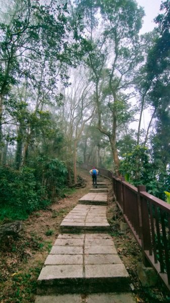 石硦林場、桶頭山O形3052339