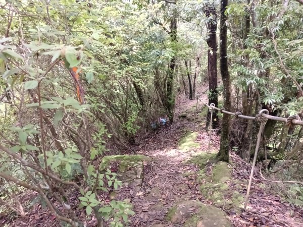 平溪區三功大厝+番子坑山+千階嶺步道O型2781189