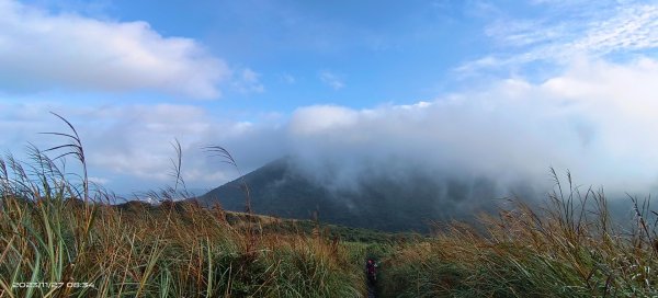 大屯山&小觀音山西峰追雲趣2361431