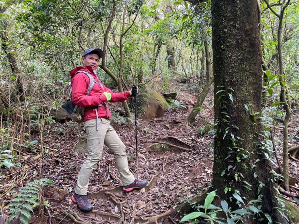 小觀音山群峰【當登山遇到惰性來襲時…】2686405