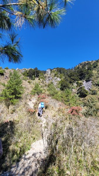 玉山前峰2402063