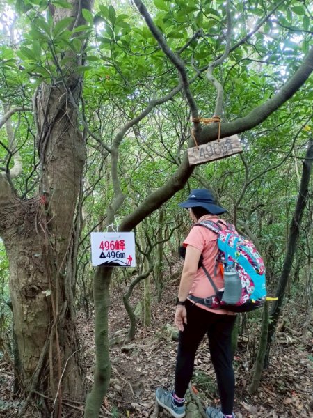 凌雲寺-觀音山-八里渡船頭-202508032866421