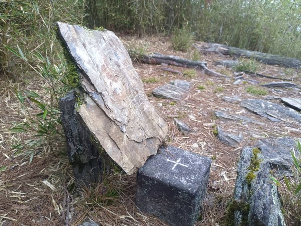 20250420南投瀧奧、奇萊尖山、合歡八連峰2768494