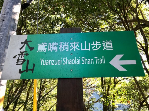 秋日末的鳶嘴稍來787605