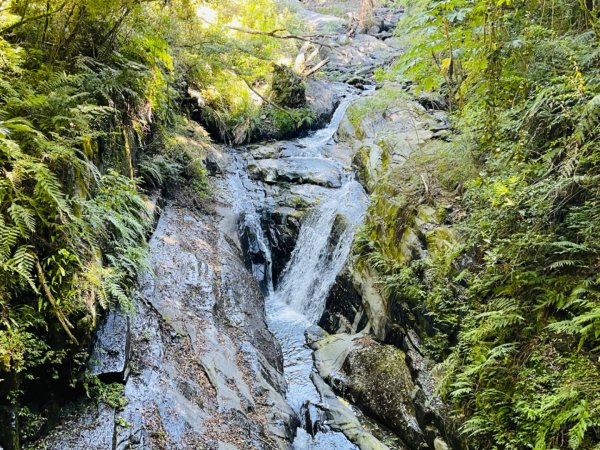 1140825司馬庫斯新巨木園區-司立富瀑布-部落觀景台2871164
