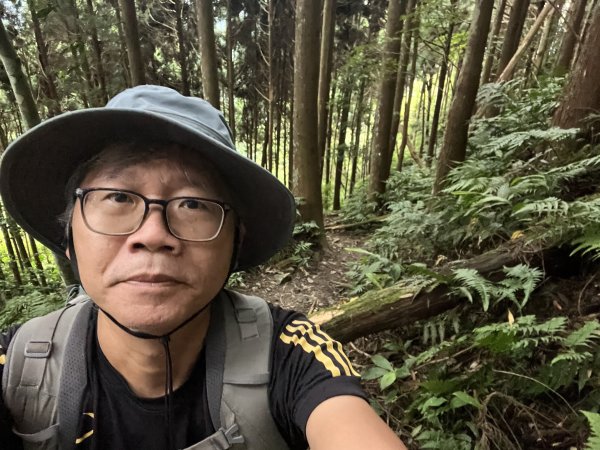 [皮皮獅探險隊-07/10] 2025_0719 油羅山步道2842699