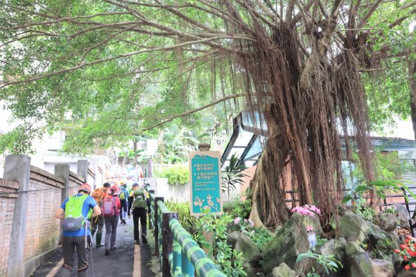 台北天際線泰山段2799093