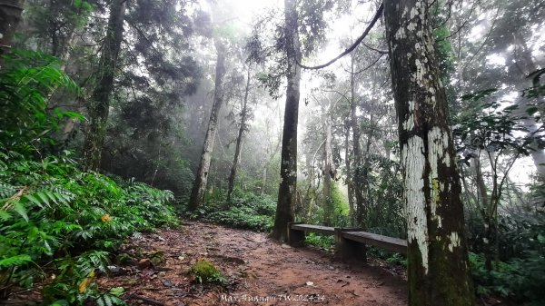 《新竹》不見五指｜北埔五指山登山步道上中指峰202410102619055