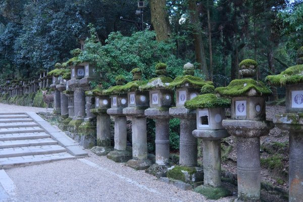 【海外健行】生駒宝山寺-奈良1942284