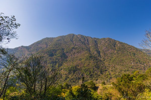 谷關七雄_唐麻丹山3015648