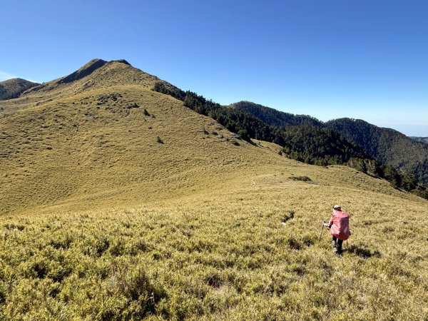 大眾運輸登 雪山西稜 (中雪山未竟) 2025/12/3~9