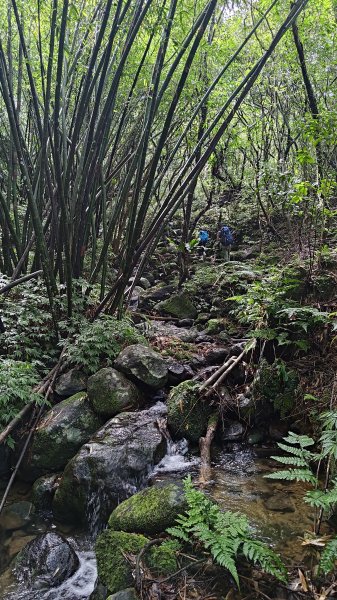 楊廷理古道2814604