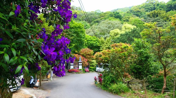 菁礐古圳步道,第51及64番石佛3040721