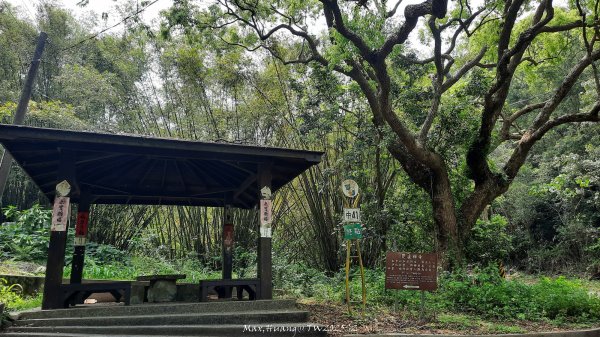 《台中》悠然雅緻｜后里毘盧禪寺小O精華步道202504042752306