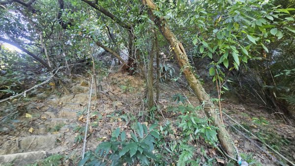 20250828尖山西峰-外挖子主北山-光明頂主前峰2873582