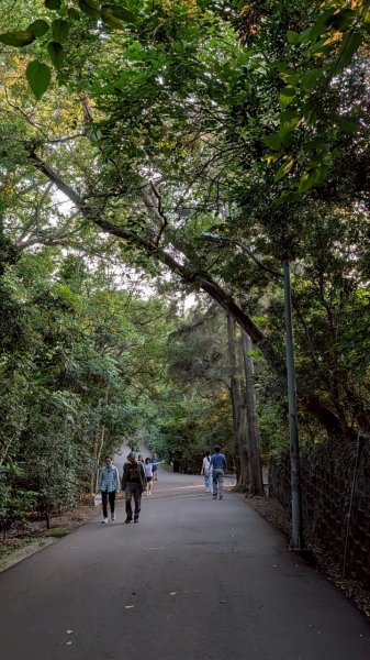 十八尖山步道3056561