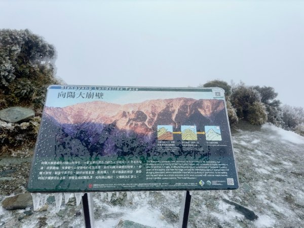 20250319～20嘉明湖國家步道🥶🥶🥶殘念😭2739777