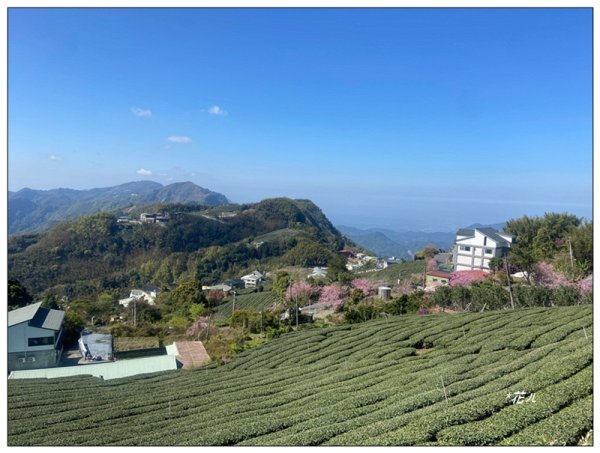 頂石棹步道群、樂野山、霹靂山 d型路線2749158