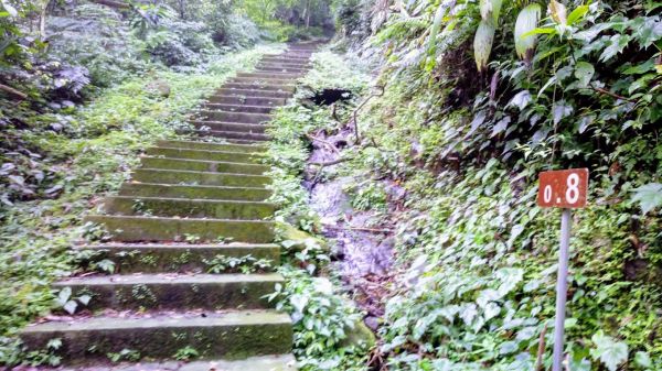 淡蘭古道.五分山串走320398