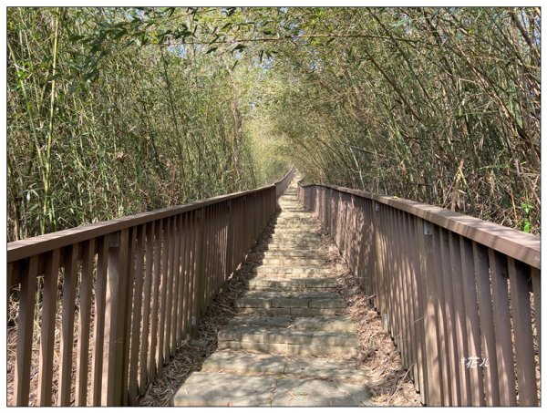 老崎古道、老崎坪頂山 (頭份)2737197