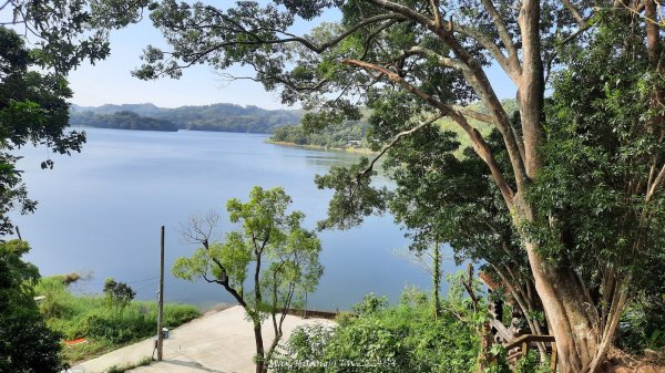 《苗栗》靜謐湖光｜明德水庫湖濱步道海棠島202411032641958