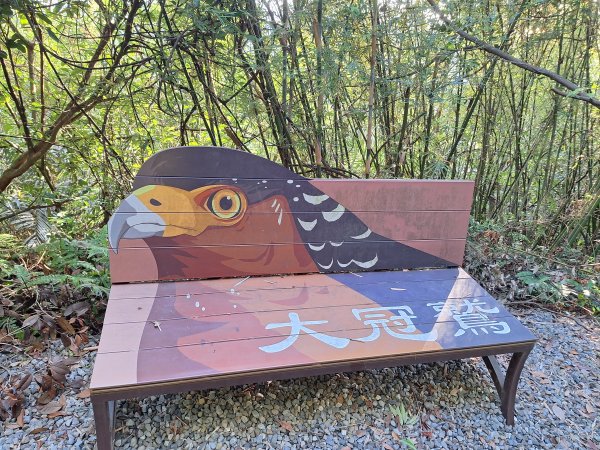 冬山梅花湖中山步道+大陂丘山202509292901665