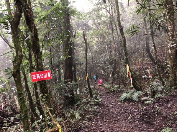 一魚多吃的高島縱走  帶孩子享受攀爬的452381