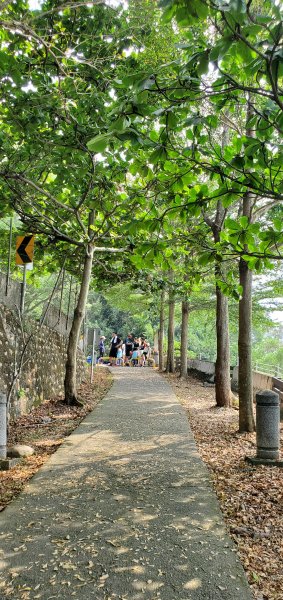 2021-10-10橫山步道1484935