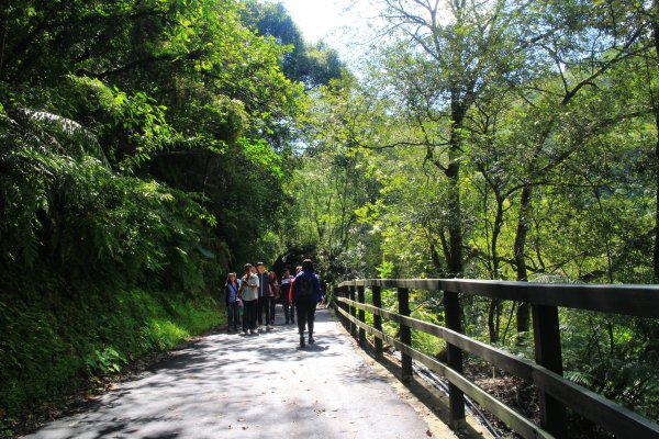 烏來內洞森林遊樂區 20181021444476