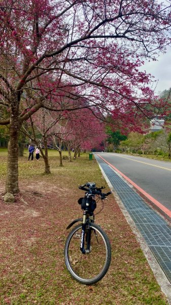 越野單車勇闖北港溪峽谷2998363