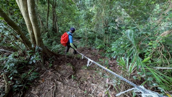 114.06.21大竹坑山-小粗坑山-石門山之旅2818877