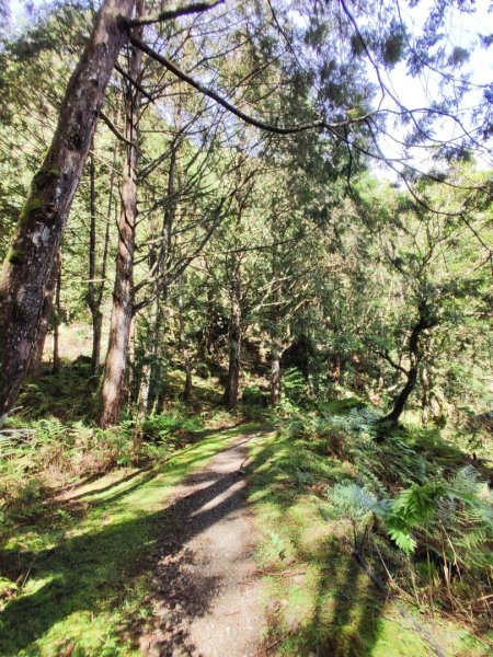 2025/7/12、7/13 西巒大山2839178