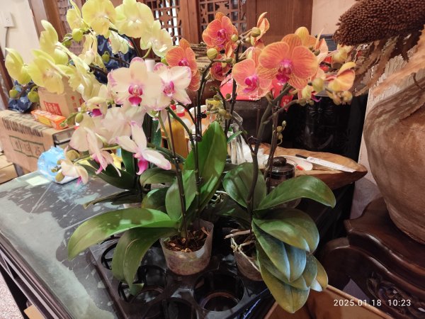 桃園市楊梅區八方園百年三合院景觀客家餐廳 - 欣賞美景與大啖美食2693209