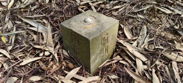 2026/03/08-毘盧禪寺步道+七星崗3013894